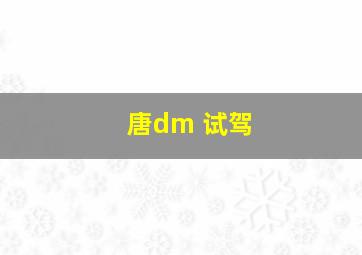 唐dm 试驾